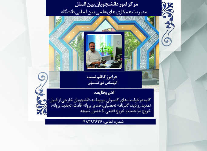 کارشناس کنسولی