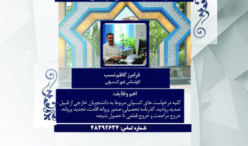 کارشناس کنسولی